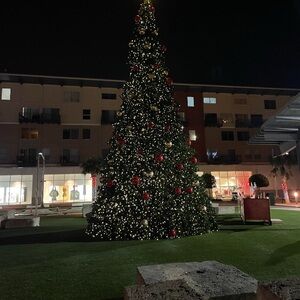 Meet your Posher, Juniper